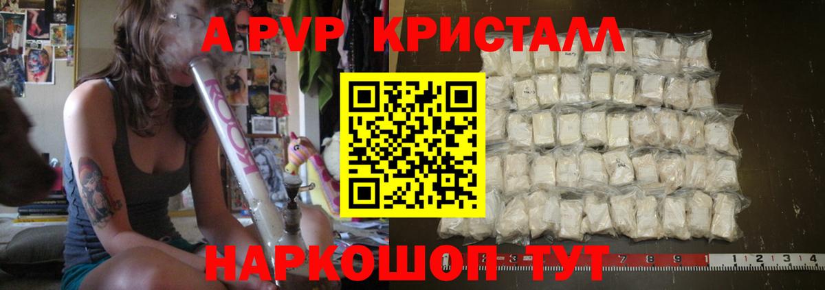 Бошки Шишки Клин