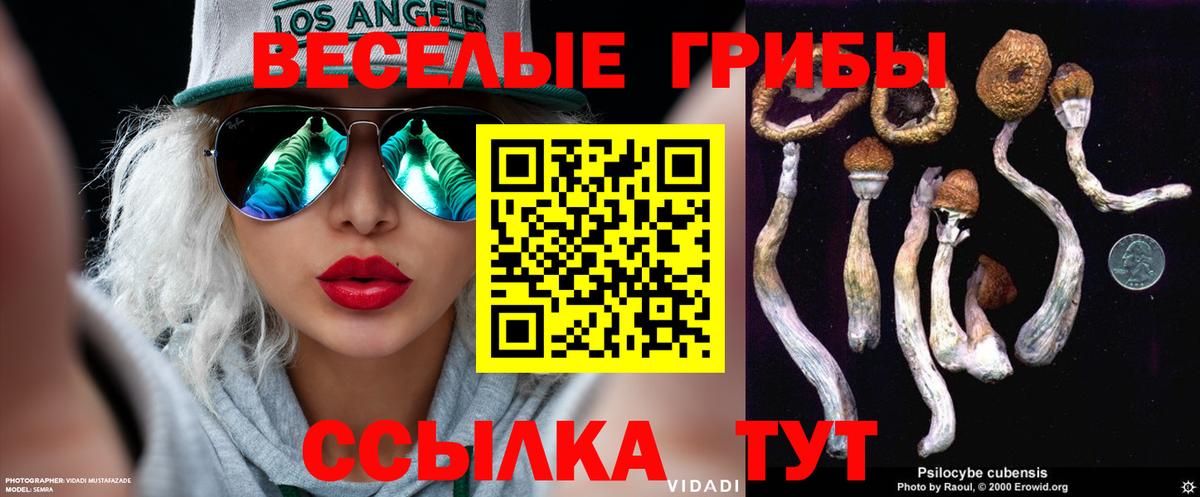 Клин  Галлюциногенные грибы Magic Shrooms  Псилоцибиновые грибы ЛСД  Вход с VPN 