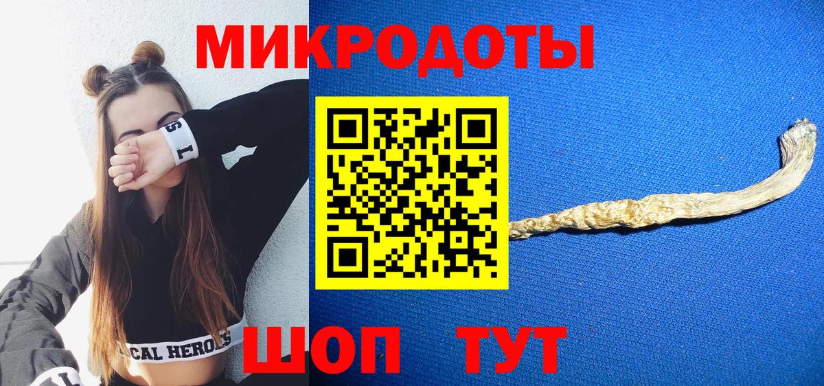Псилоцибиновые грибы прущие грибы Клин